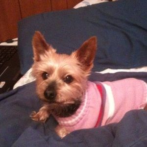 Meet your Posher, Lynn